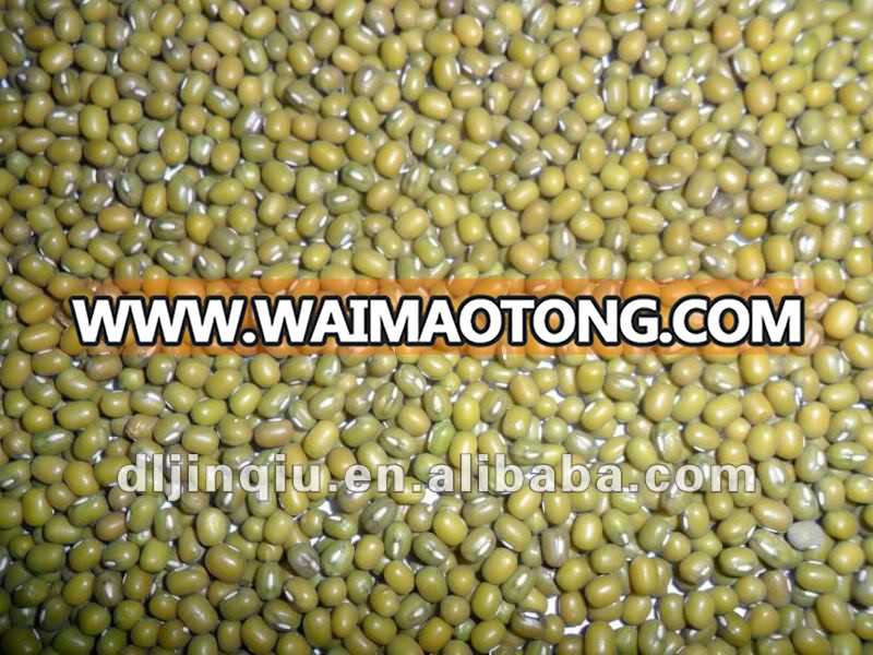 green mung bean 6.JPG