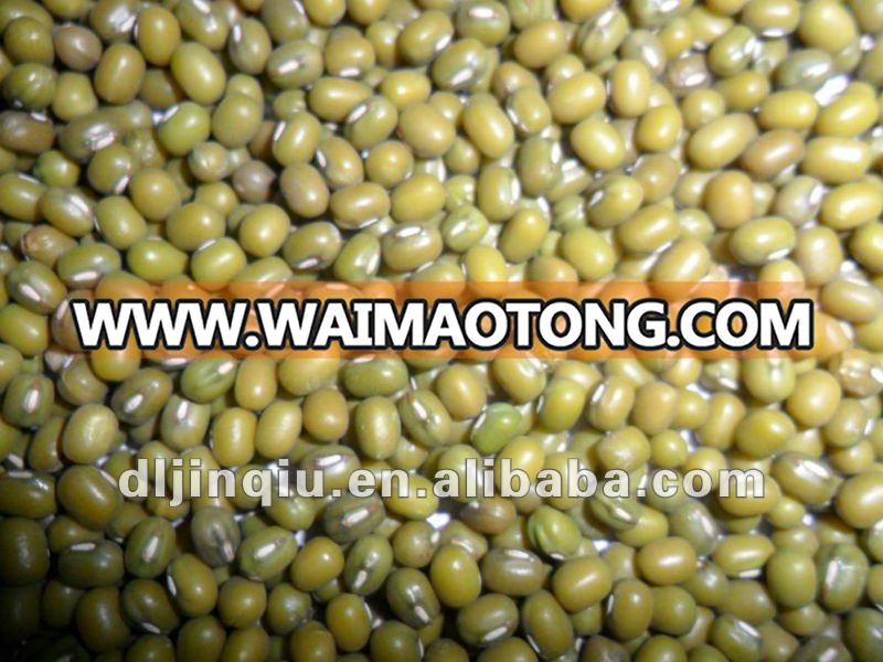 green mung bean 10.JPG