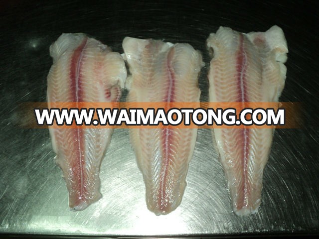 PANGASIUS FISH