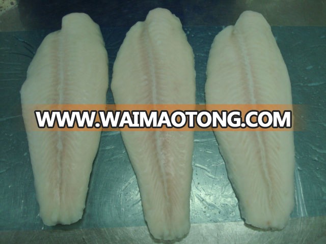 PANGASIUS FISH