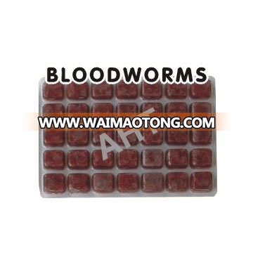 Frozen Bloodworm.jpg