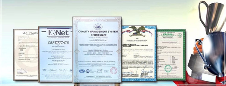 certificate Pincredit x.jpg