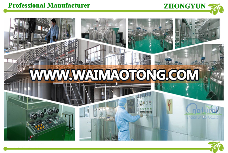 annatto powder factory