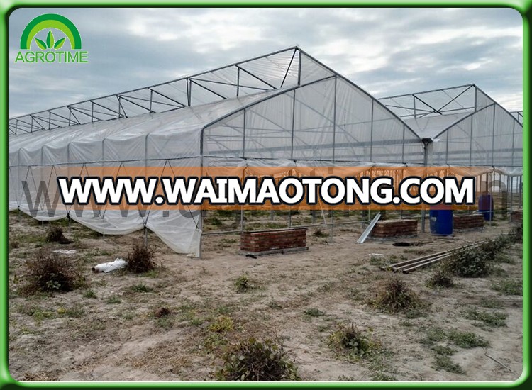 cheap greenhouses for sale.jpg