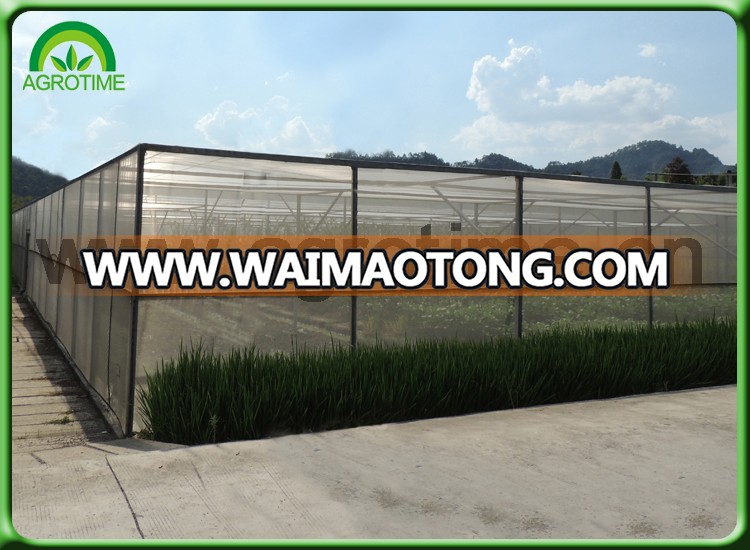 6x8 greenhouse for sale.jpg