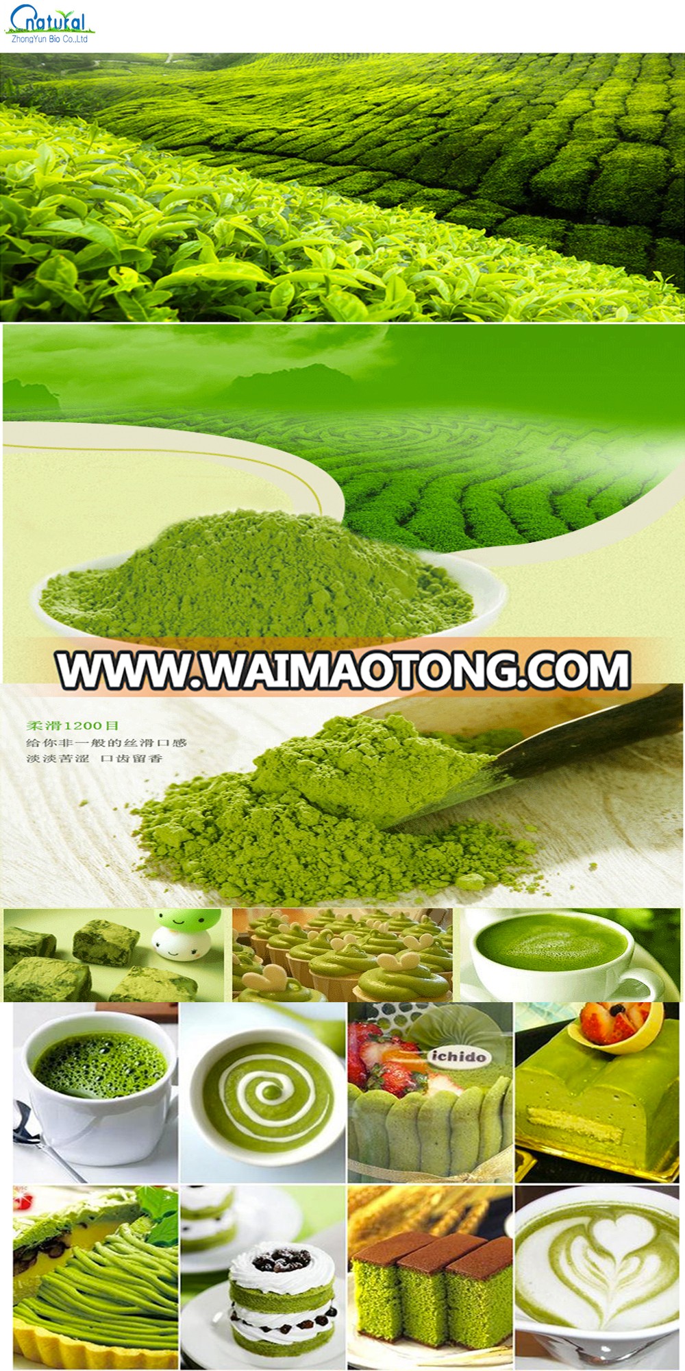 5 Matcha Powder.jpg