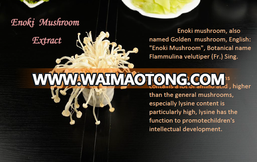 Natural Plant extract Golden mushroom extract Enoki mushroom extract for anting cancer