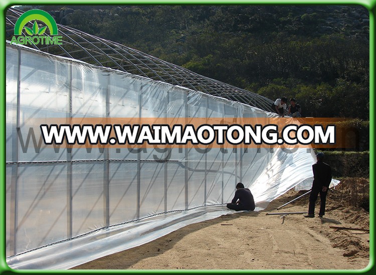 Plastic film greenhouse.jpg