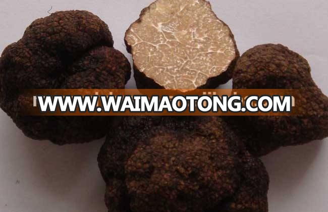 Chinese Natural Pure Healthy truffles