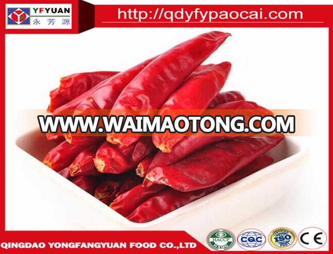 chaotian chilli 10_