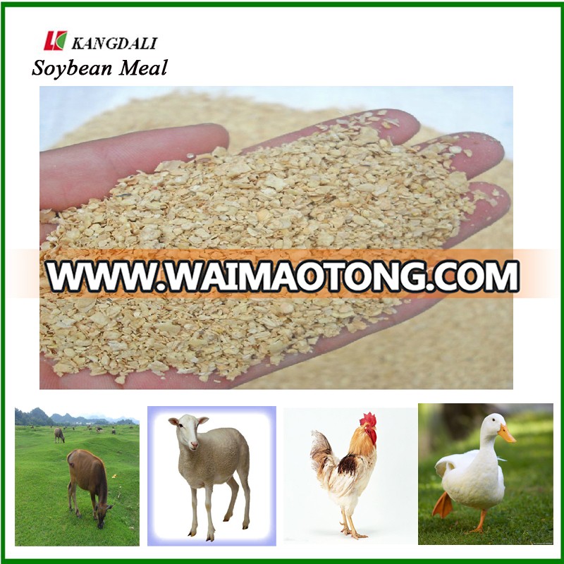 Good-Quality-High-Protein-NON-GMO-Soybean