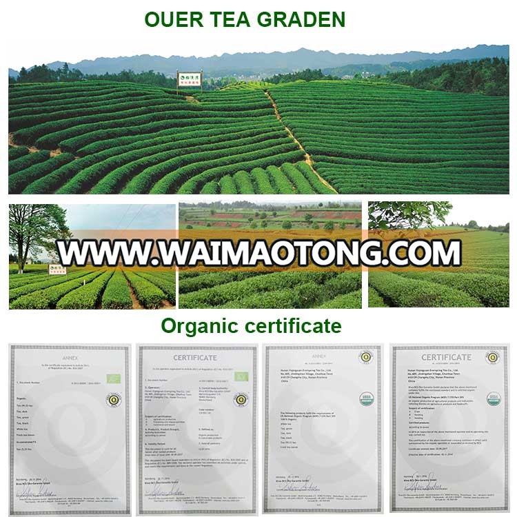 Tea-graden-and-certificate