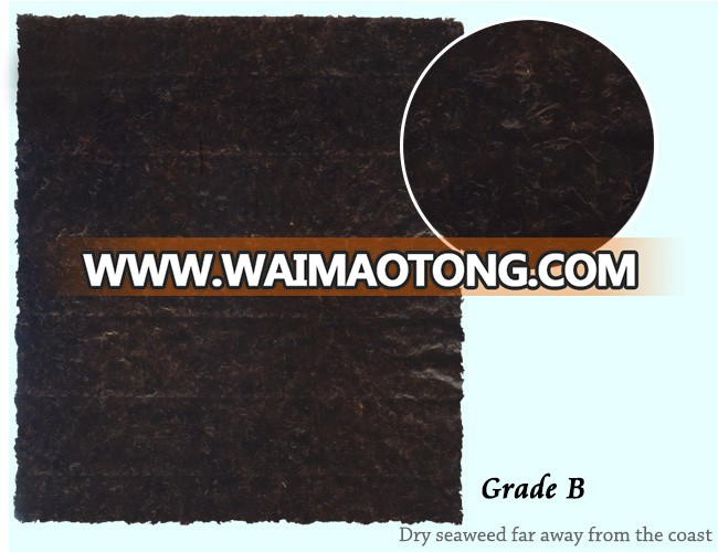 Raw materials of sushi wholesale dried brown seaweed