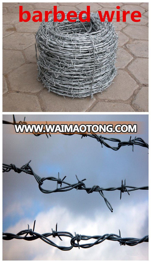 barbed wire .jpg