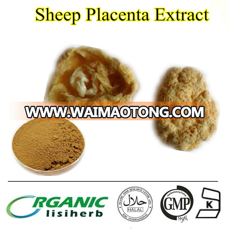  Sheep Placenta.jpg