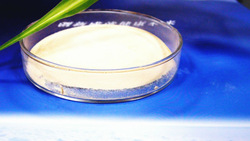 yeast cell wall supplier