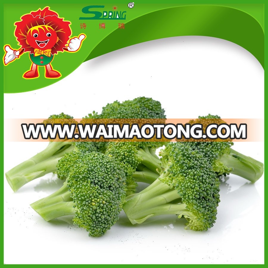 frozen-fresh-broccoli-with-good-price-low (1).jpg