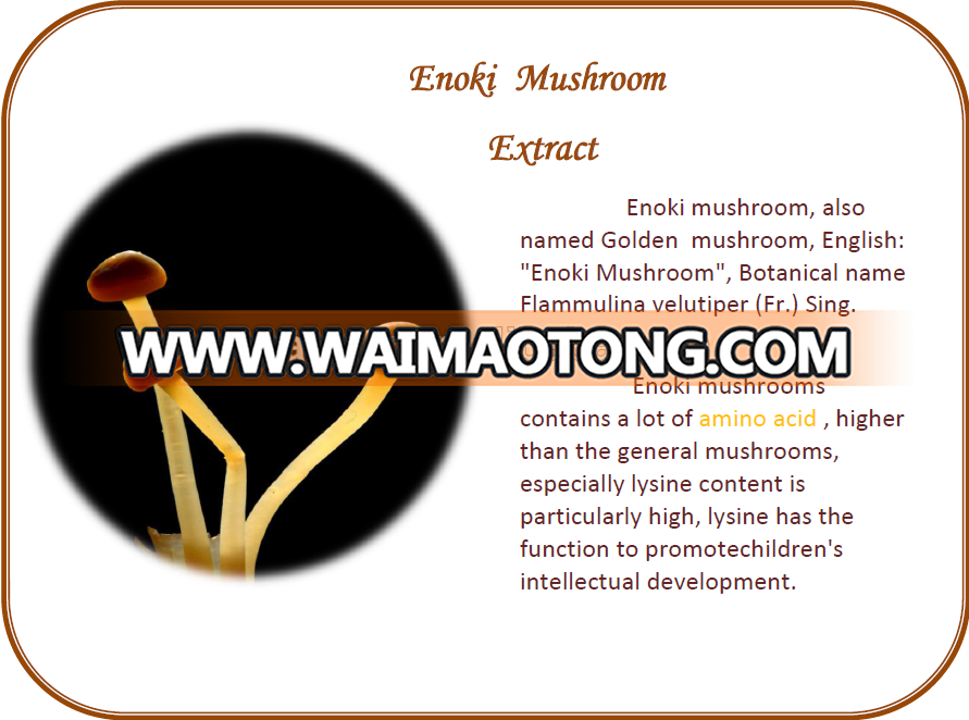 Natural Plant extract Golden mushroom extract Enoki mushroom extract for anting cancer