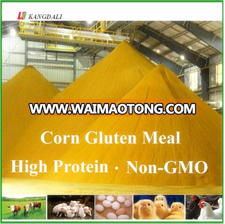 corn gluten meal