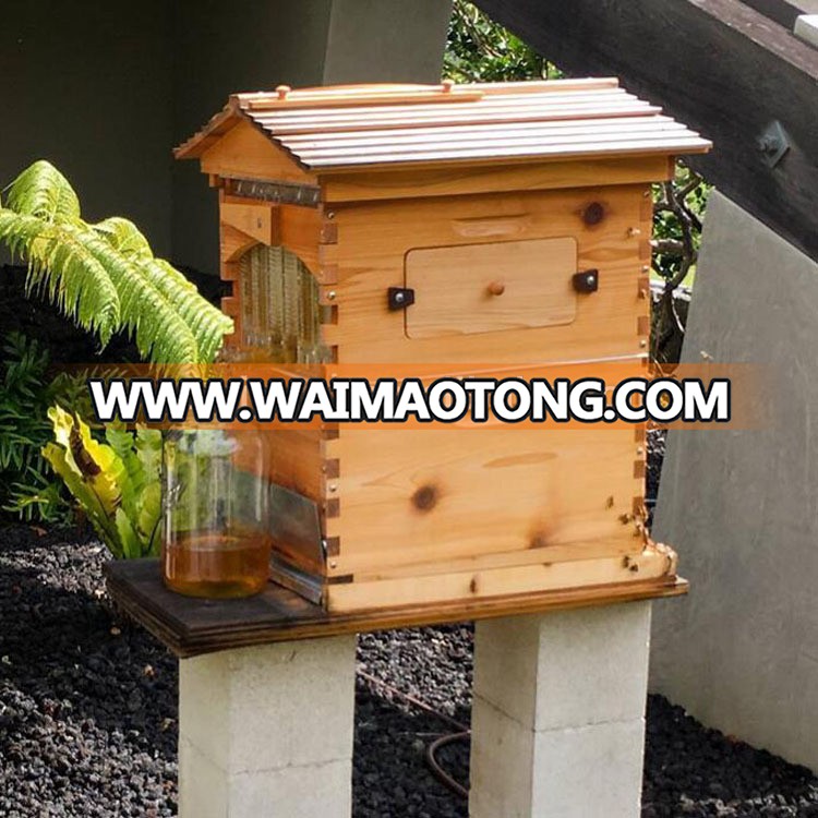 beekeeping flow hives 