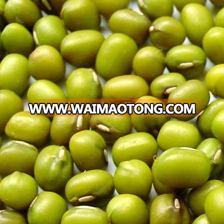 organic mung bean.jpg