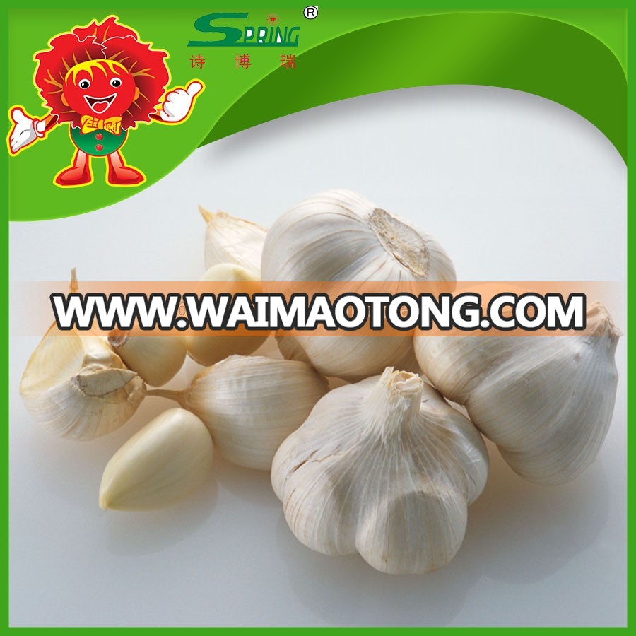 Fresh-Organic-Garlic-without-Pesticide (2).jpg