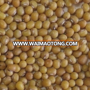 unpolished mungbean-3.jpg