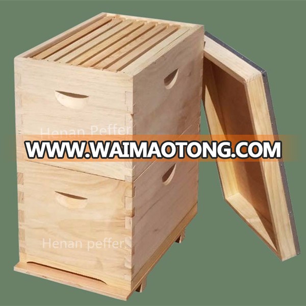 Bee hive kits.jpg