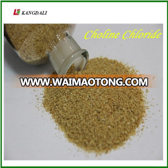 choline chloride exporter