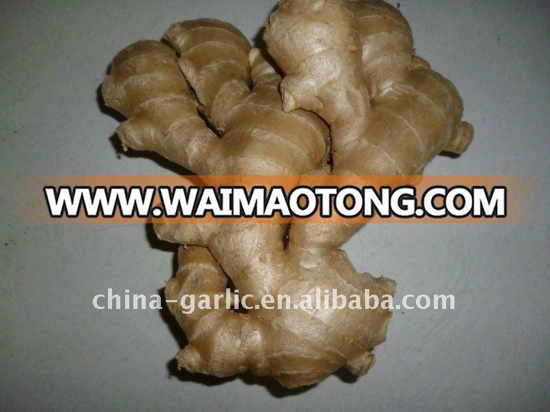 dry ginger 2