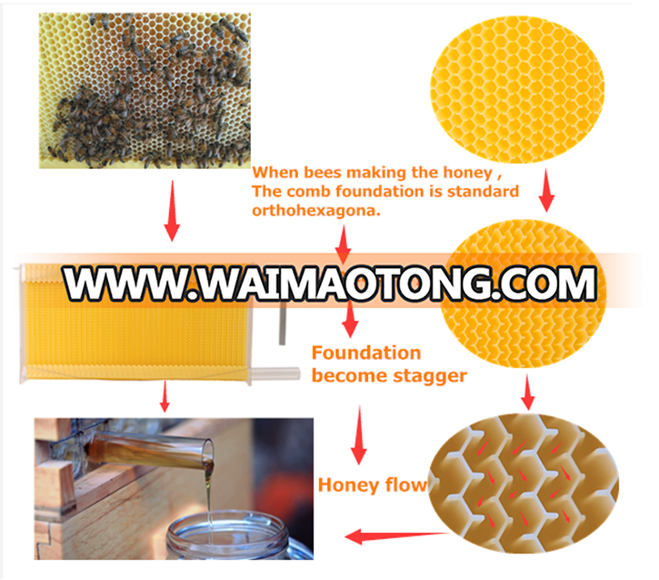 Australia Wooden Beehive Beekeeping Flow Hive Manufacturer