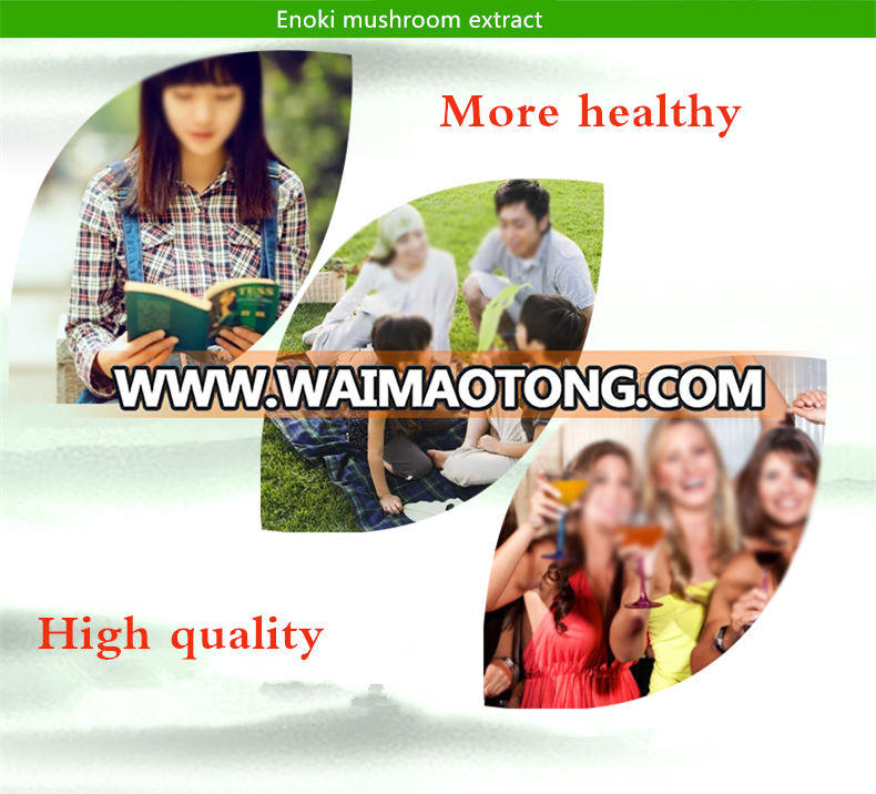 Natural Plant extract Golden mushroom extract Enoki mushroom extract for anting cancer