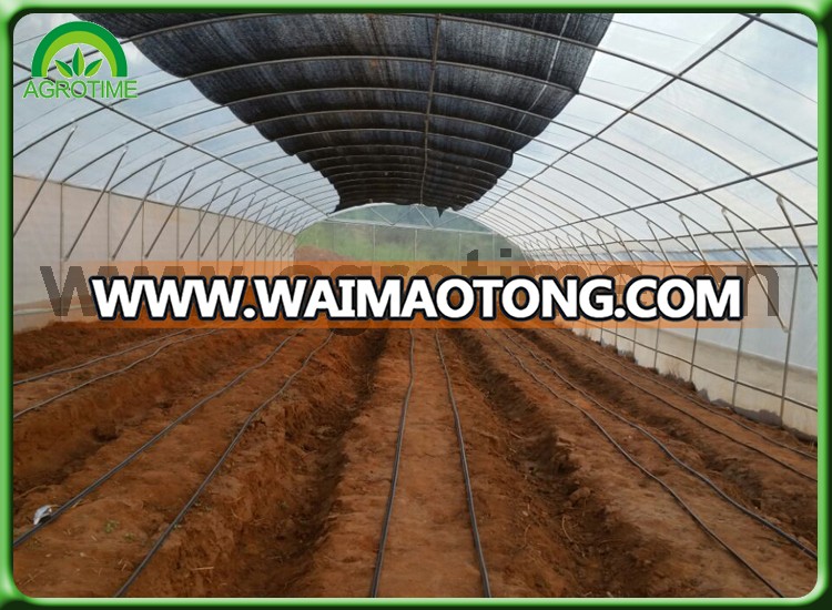 vegetable greenhouse.jpg