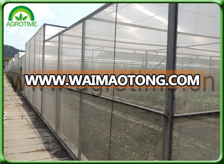 greenhouse film plastic.jpg