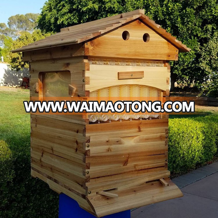 auto flowing beehive frame.jpg