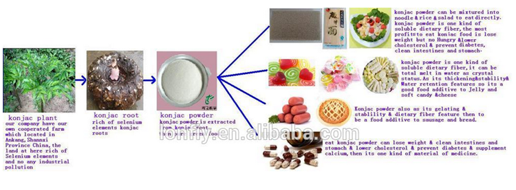 high quality konjac gum factory