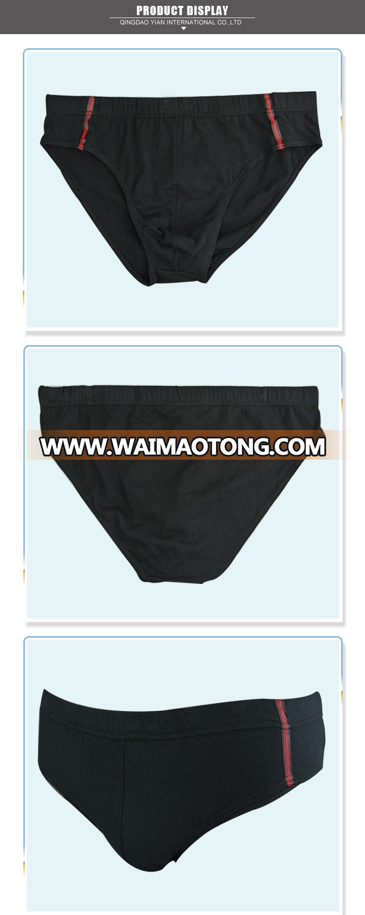 mens-brief-5731-2_01.jpg