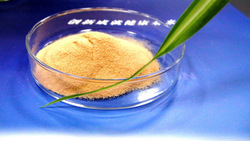 Spray dried hemoglobin powder