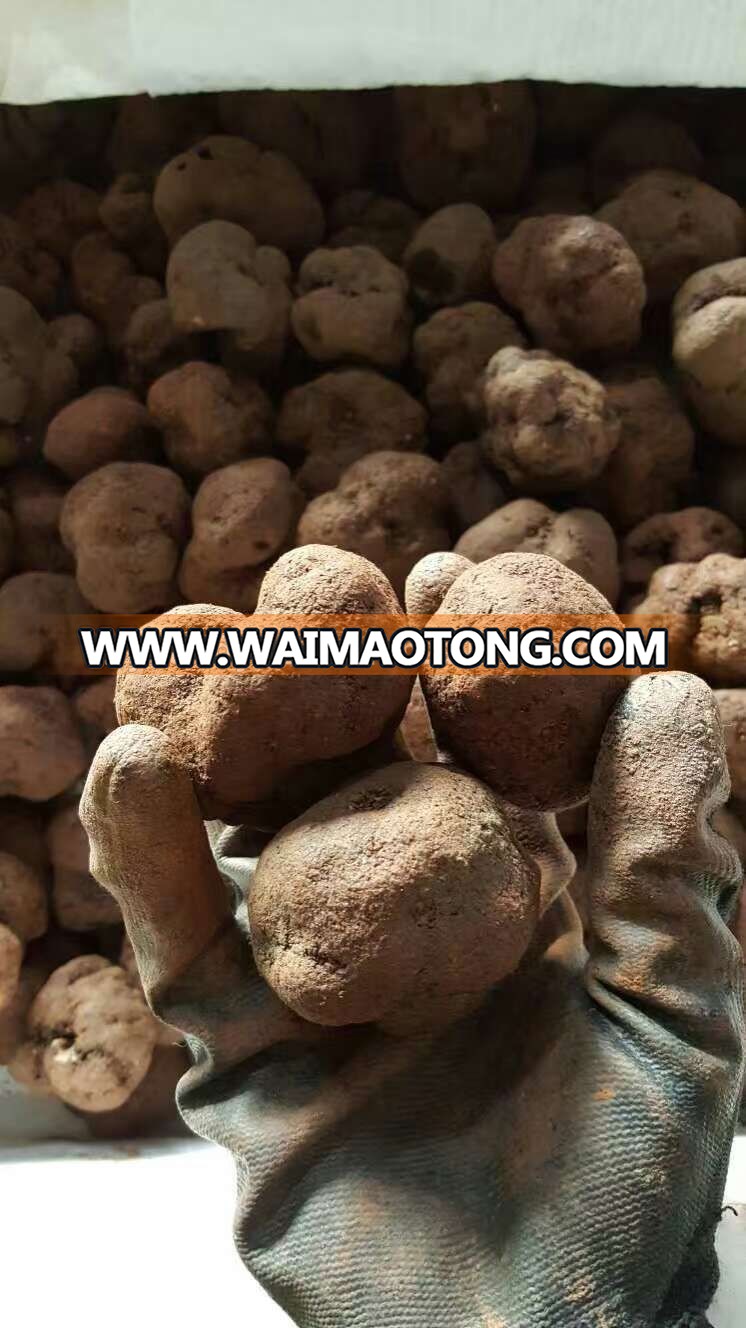 Chinese Natural Pure Healthy truffles