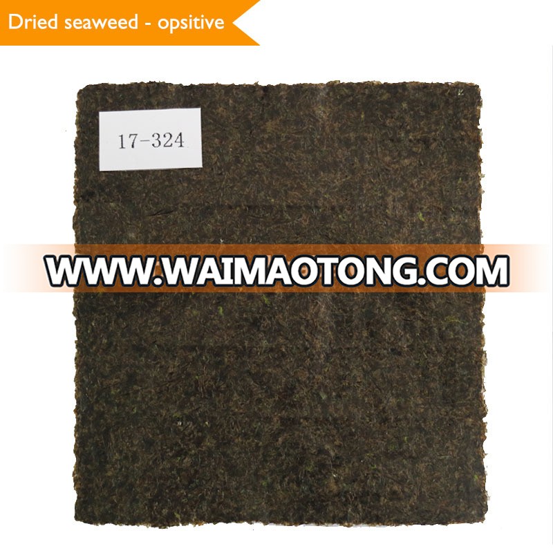 Best price and good quality crispy dried seaweed halal