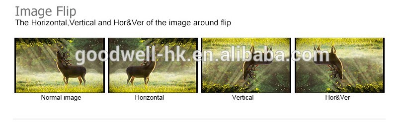 Image Flip