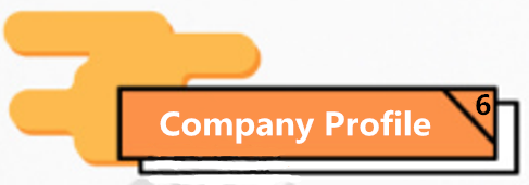 6Company Profile.png