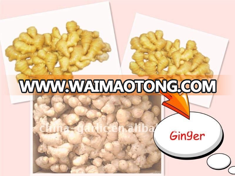 Chinese_Fresh_and_Dry_Ginger_2011_Price