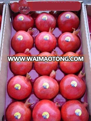 Pomegranate ctn.jpg