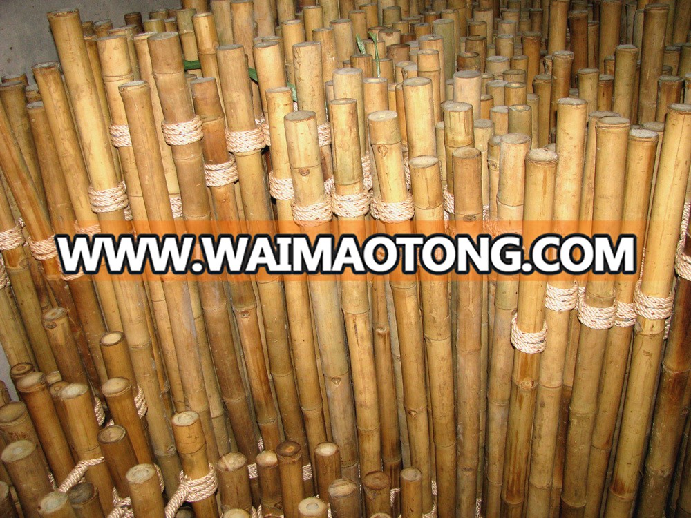 Bamboo fencing - Bamboo poles fence - 02.JPG