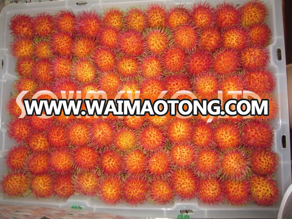 rambutan 1.jpg