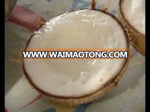 Wax coconut 2.jpg