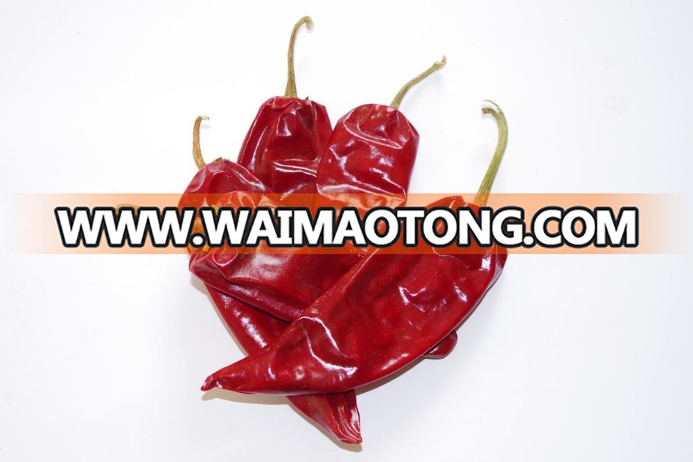 red chili1.jpg