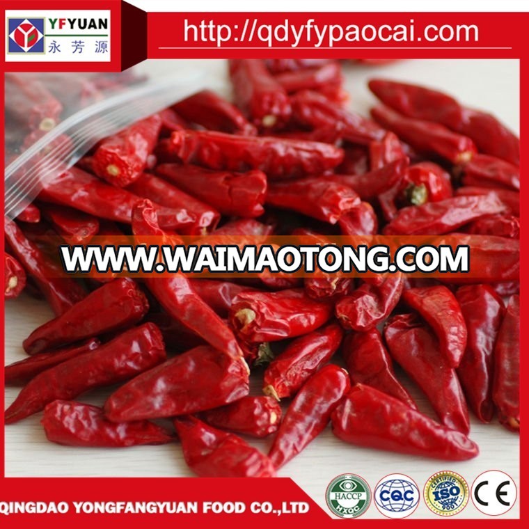 chaotian chilli 7