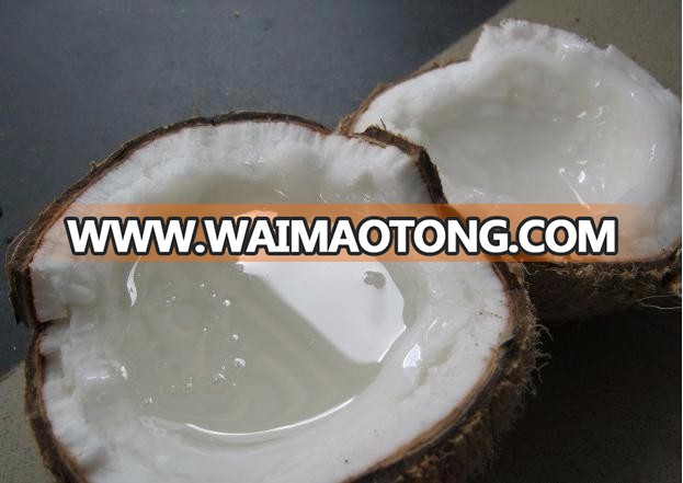 Wax coconut 1.jpg